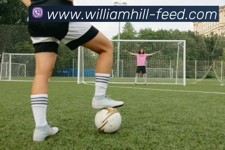 威廉希尔APP 封面图